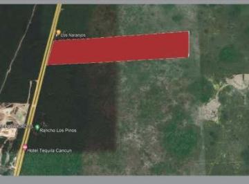 Terreno / Lote · 250000m² · Terreno en Puerto Morelos, Quintana Roo