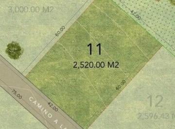 1 · Terreno en Venta en Santa Catarina
