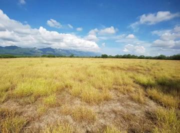 1 · Terreno Campestre en Venta Salinas Victoria
