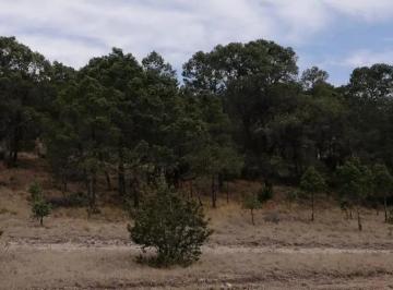 1 · Terreno en Venta en La Sierra de Arteaga
