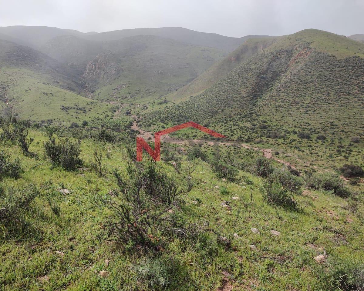 Terreno en Venta 26 Ha en Valle Las Palmas Delegacion La Presa Tijuana Baja California