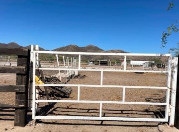 Terreno / Lote , Hermosillo · Terreno en Venta en San Pedro El Saucito Para Campo o Ganado