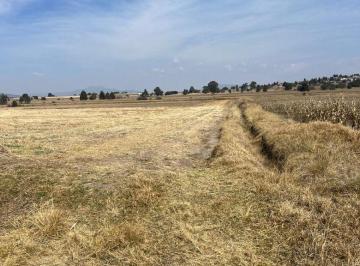 Terreno / Lote , Xaltocan · Terreno Sobre Carrretera Apizaco - Muñoz Xaltocan Tlaxcala