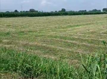 Terreno / Lote , Colón · Macrolote 4 Ha en Venta