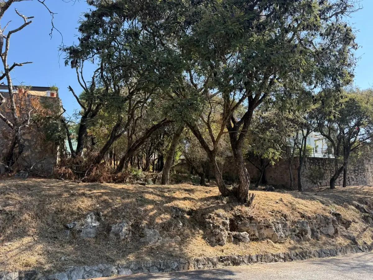 Terreno en Venta en Ixtapan de La Sal Oportunidad