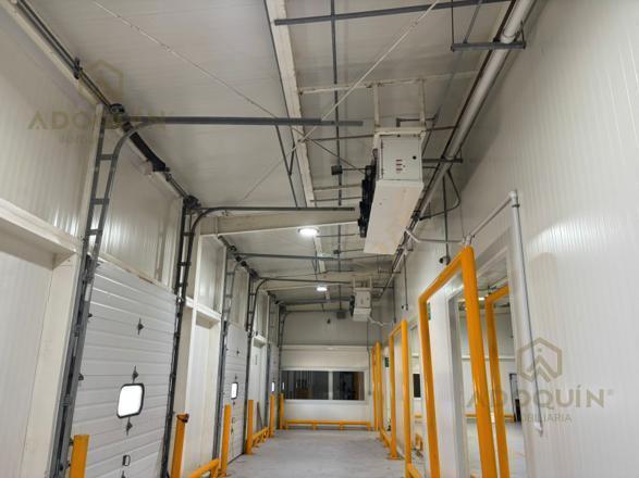 Nave Refrigerada en Renta | Cancún, Quintana Roo