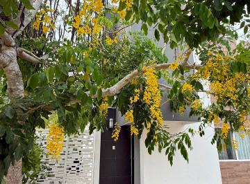 Casa de 3 habitaciones, Solidaridad · Casa en Villas Bonanza con Terreno Excedente y Ubicación Inigualable