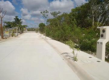 1 · Terreno en Venta Residencial Aire Puro en Venta Tamanché, Mérida Yucatán