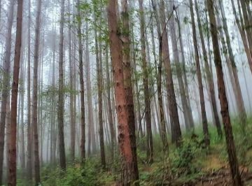 Terreno / Lote · 500m² · Terreno en Omitlan