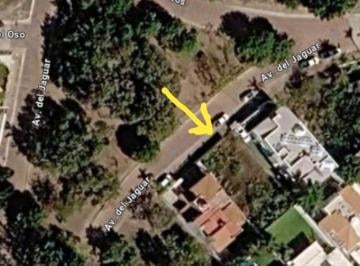 Terreno / Lote , Zapopan · Terreno Bugambilias Planito, Frente Parque, Av Ancha, 15x30, Rectangular, Barda, 3 Vecinos