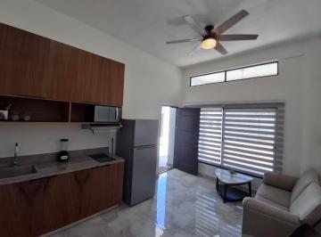 Departamento · 49m² · 1 Recámara · 1 Estacionamiento · Departamento en Ejido Sur Playa del Carmen