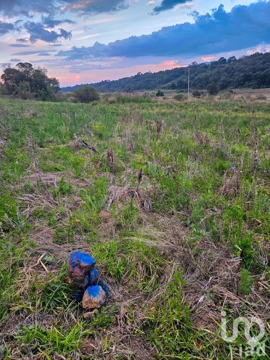 Terreno con Servicios Tenango Amealco
