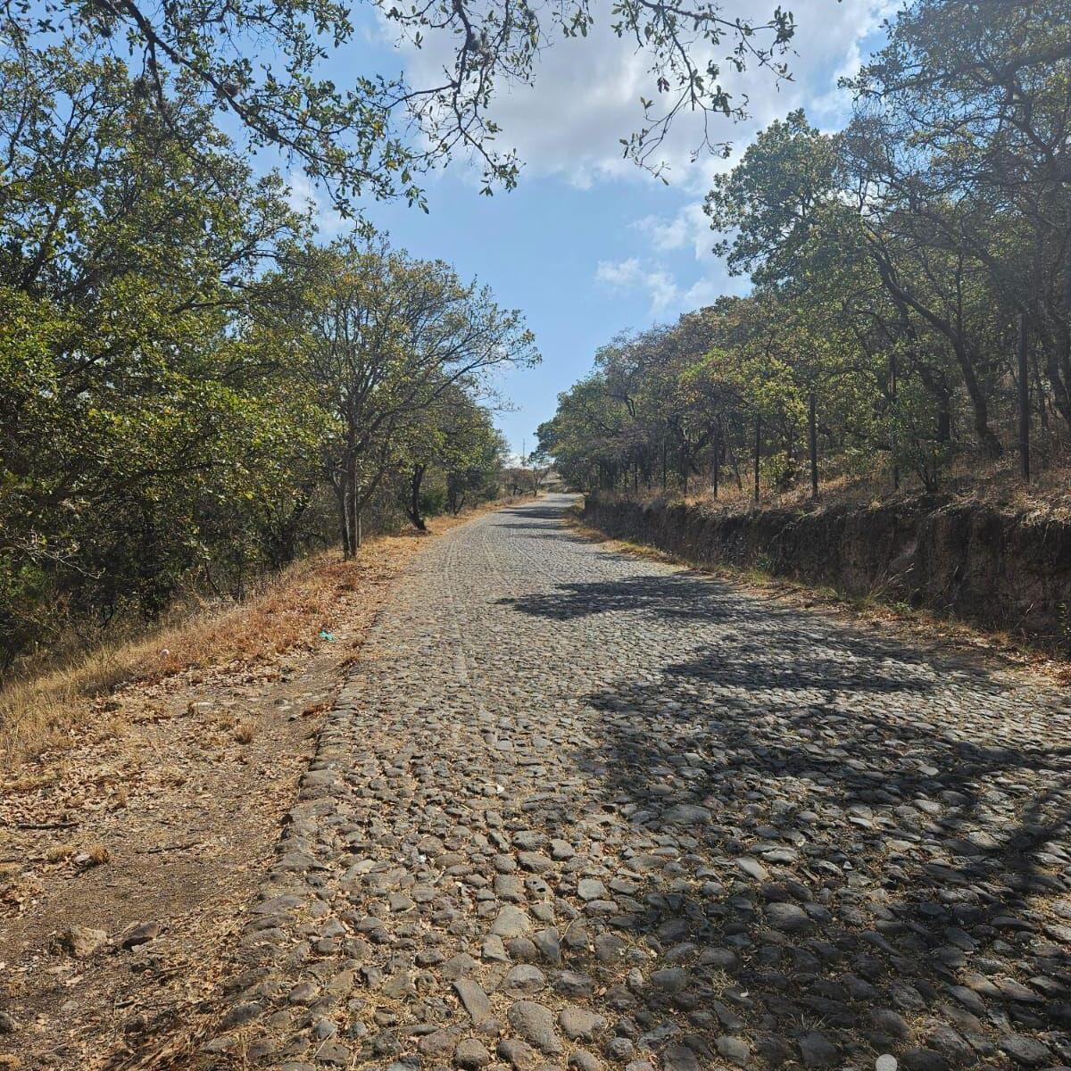Bonito Bosque de Amealco