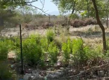 Terreno / Lote , Arteaga · Terreno en Arteaga Coahuila Para Desarollo Gabitacional Habitacional
