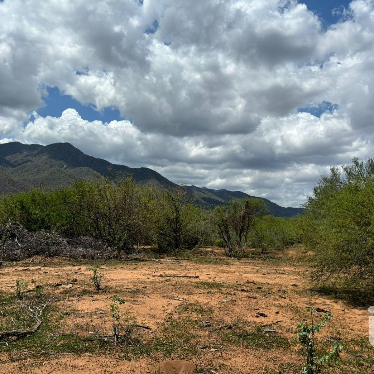 Rustic Rural Land for Sale with Sierra View, 500 m², Caduaño, Los Cabos