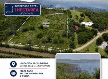 Terreno / Lote · 10000m² · Terreno - Linares