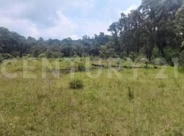 Terreno / Lote · 38106m² · Terreno en Venta 38106 m² en Medio del Bosque, Mpio. Jilotzingo, Estado de México