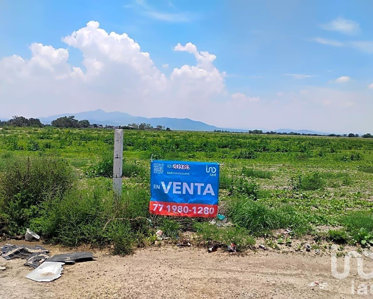 Commercial Land Adjacent to Highway in Zapotlán
