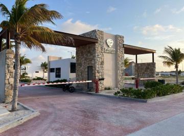 d8c6584d214860ecccfa3ade094b8e1dd951c89f4209b363a5be84bfde204839 · Lote Residencial en La Playa de Chelem