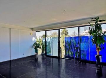 Departamento de 2 habitaciones, Cuauhtémoc · Departamento Moderno con Balcón, en La Condesa