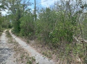 Terreno / Lote , Mérida · Terreno en Venta Semiurbanizadoen Komchen, Yucatán