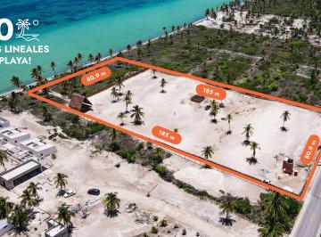 Terreno / Lote , Telchac Puerto · Macrolote Frente Al Mar en Telchac Puerto, Yucatán