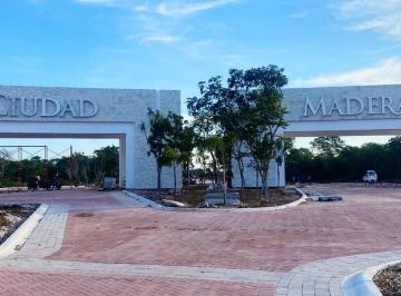Terreno / Lote , Progreso · Ciudad Maderas Peninsula