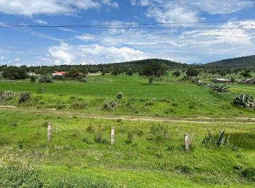 Terreno / Lote , Zempoala · Terreno Ejidal San Gabriel Azteca
