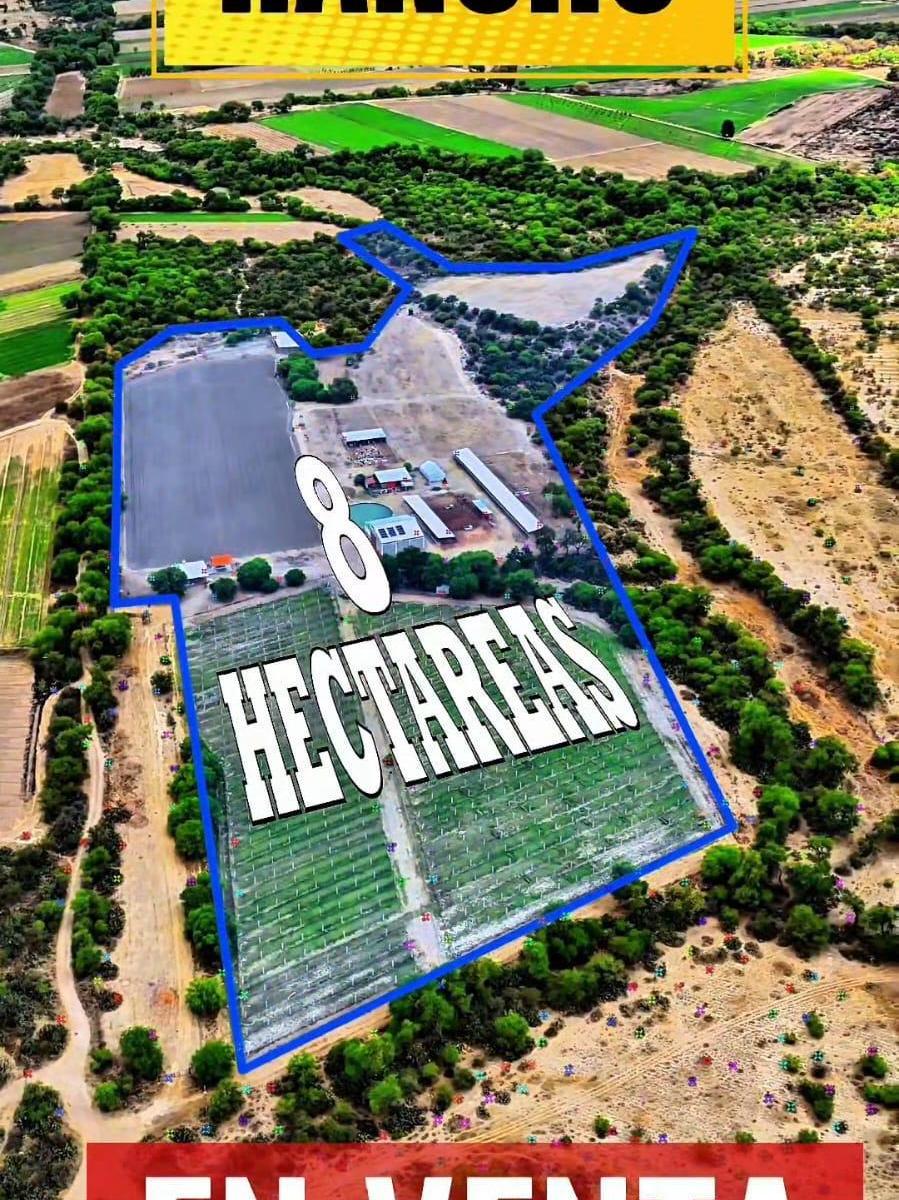 Productive Ranch for Sale in San Luis Potosi, Villa de Reyes