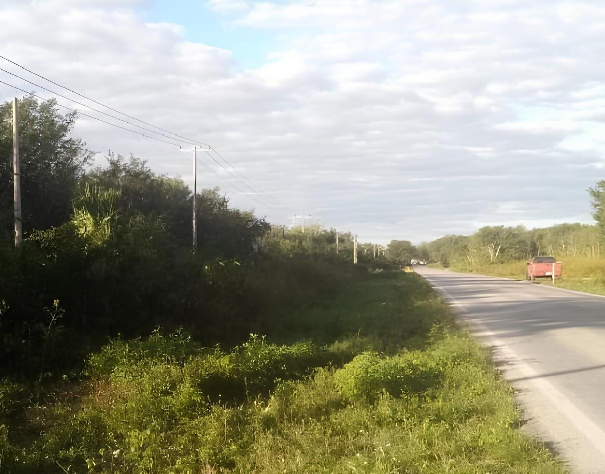 Land for Sale in Leona Vicario