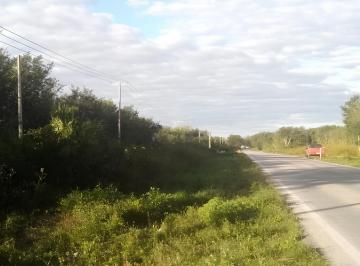 Terreno / Lote · 15500m² · Terreno en Venta Leona Vicario