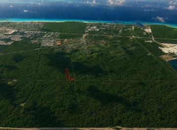 Terreno / Lote , Solidaridad · Terreno Turístico Ecológico Hotelero de 4.93 Ha en La Selva Natural de Playa del Carmen