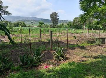 Rancho de 4 habitaciones, Tlajomulco de Zúñiga · Rancho de 25,000 m
