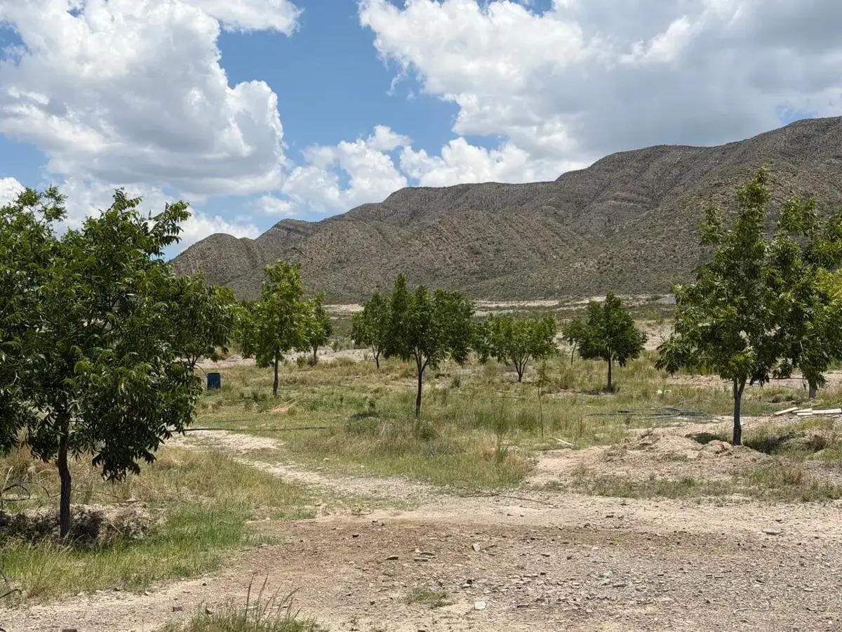 Farm - Ranch for Sale in Parras, Parras, Coahuila de Zaragoza