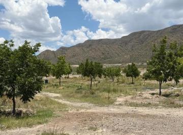 1 · Finca - Rancho en Venta en Parras, Parras, Coahuila de Zaragoza