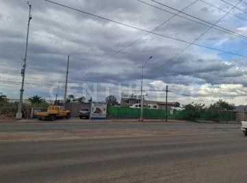 Terreno / Lote · 160m² · Terreno en Renta, Lombardo Toledano, Chihuahua