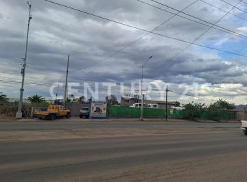 Terreno / Lote · 160m² · Terreno en Renta, Lombardo Toledano, Chihuahua