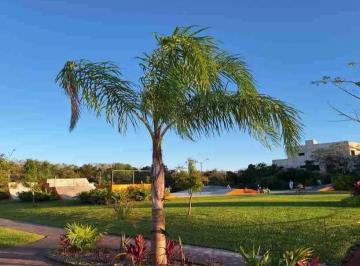 Terreno / Lote · 224m² · Via Cumbres: Terrenos, Precio de Oportunidad / Land At a Great Price