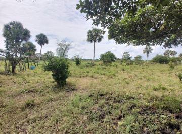 Terreno / Lote , Tlalixcoyan · Rancho de 50 Hectáreas en El Municipio de Tlalixcoyan
