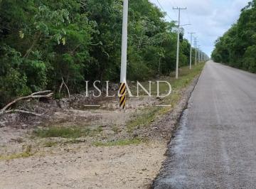 Terreno / Lote · 2000m² · Terreno en Venta