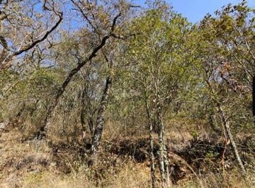 Terreno / Lote , Mineral del Monte · Terreno en Venta en Escobar, Mineral del Monte