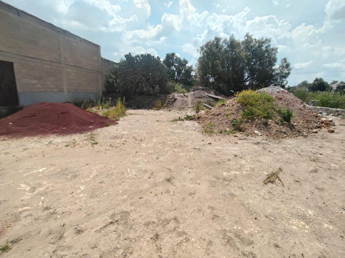 Acayuca. 3 blocks from Hidalgo Avenue. 141 m&sup2; lot. All services available. Spacious and centrally located.