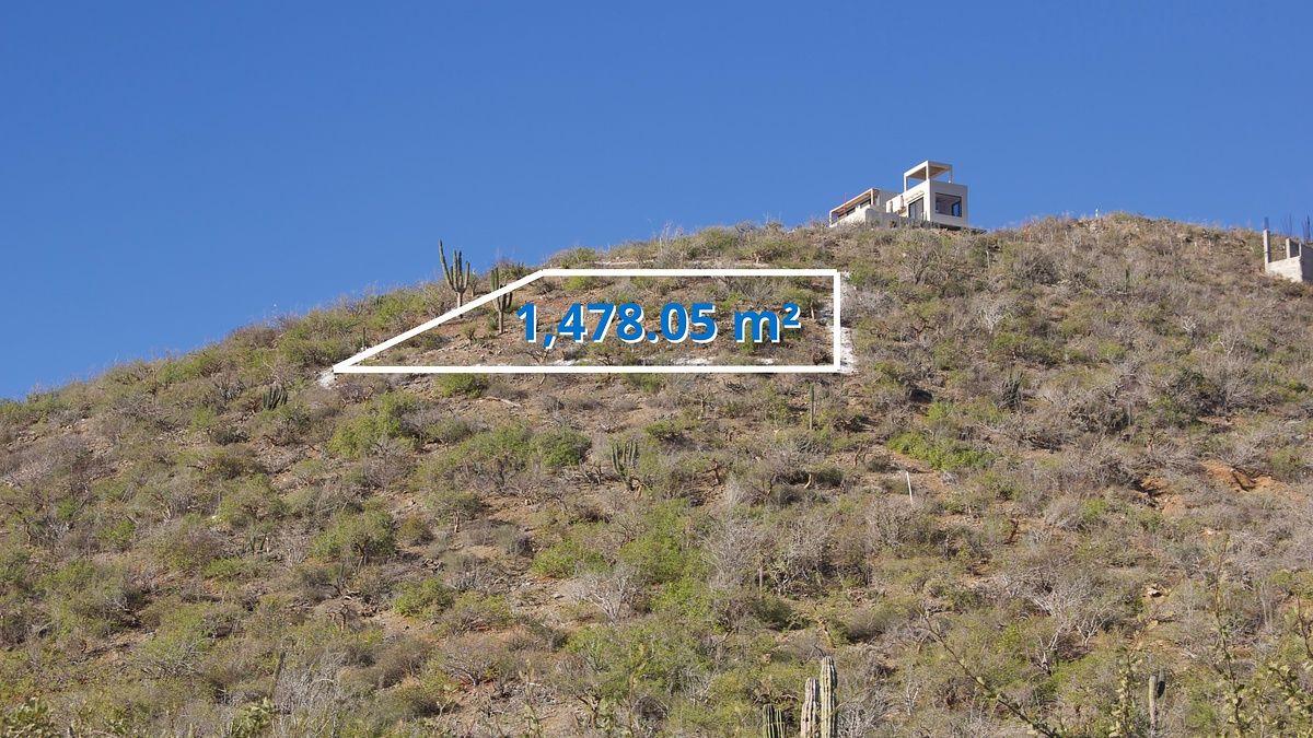 Gavilan Land Plot