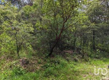 Terreno / Lote · 600m² · Terreno en Venta en Fracc. Los Robles Tlalnepantla Morelos $420,000