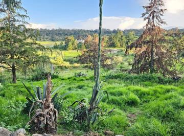 Terreno / Lote · 12000m² · Terreno de Oportunidad 1.2 Ha