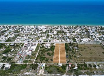 Terreno / Lote · 250m² · Playal – Chelem Puerto, Yucatán Invierte a Solo 400 m del Mar