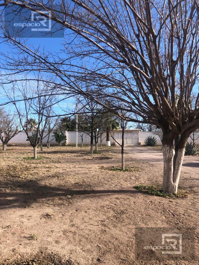 Nogalera en Venta en Delicias con Casa y Alberca