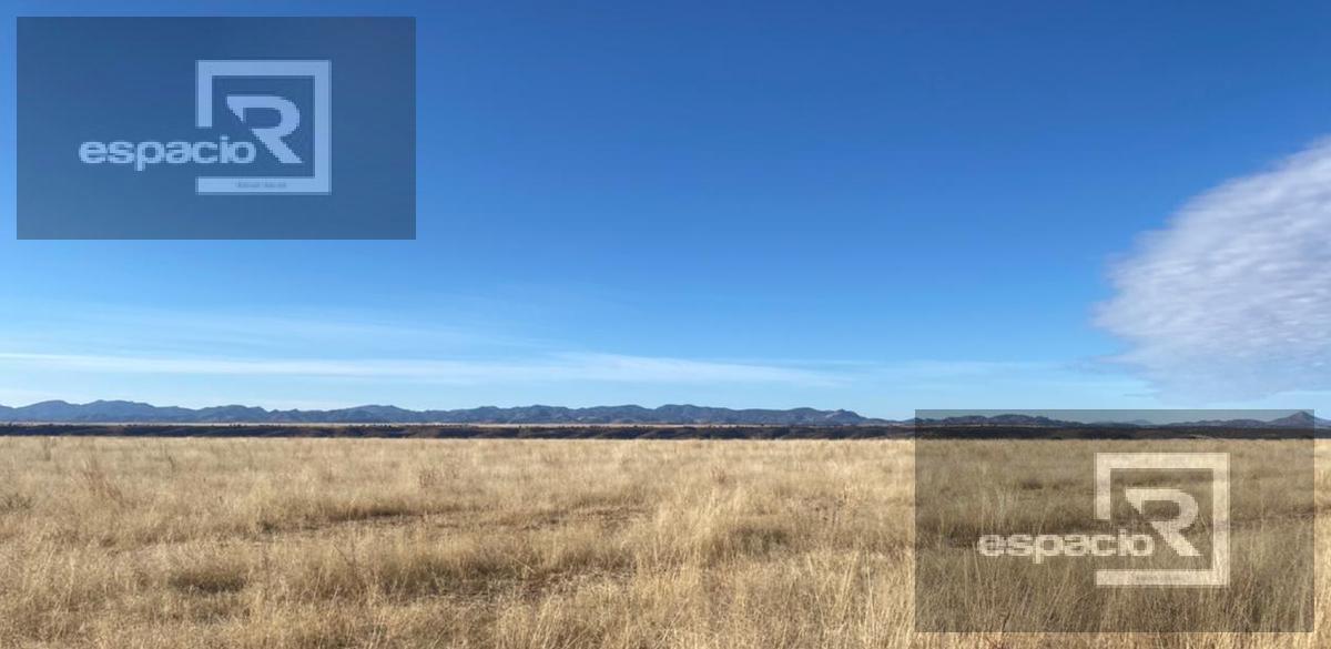 Ranch for Sale for Apple Cultivation or Cattle Farming in Cuauhtémoc Zone with Water