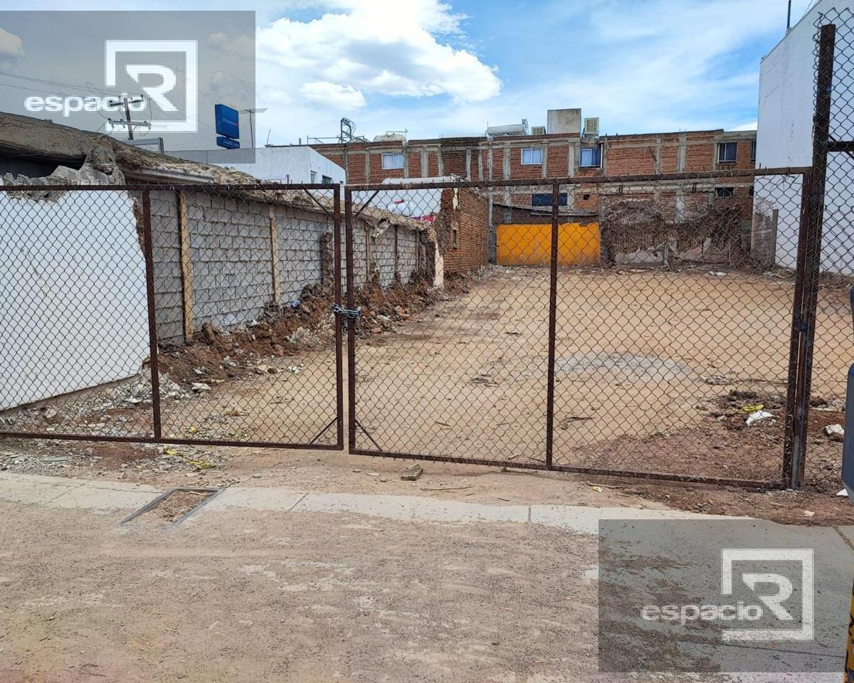 Land for Rent in the Center of Delicias