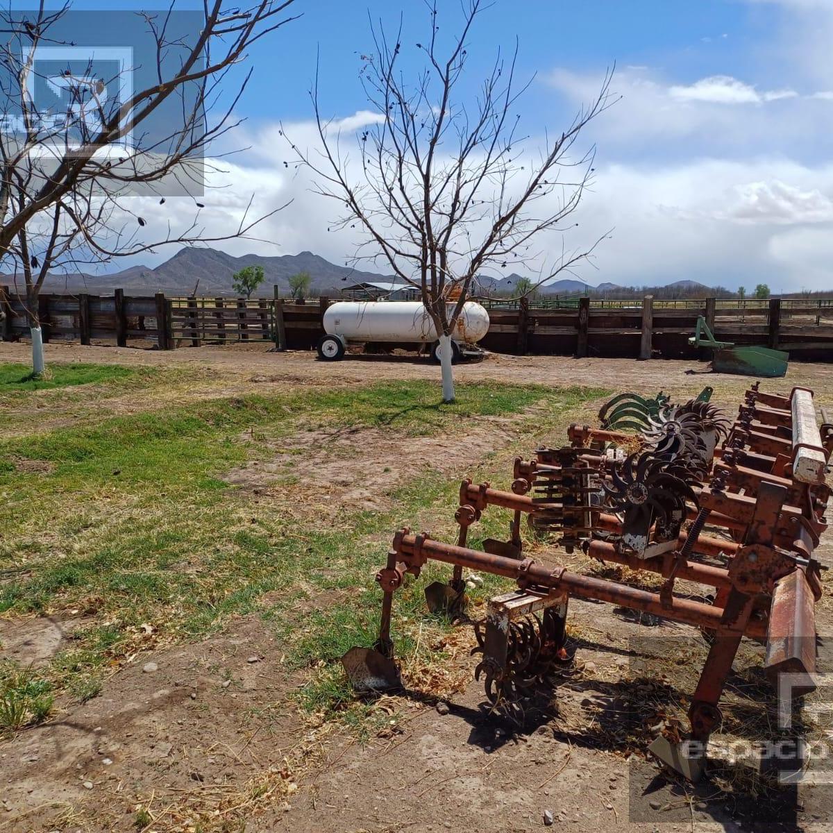 Rancho en Venta en El Sauz